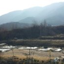 펜션33.3 네이버블로그