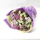 안락2동-1 이미지