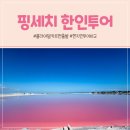 만물농장 | 플라야 델 카르멘 출발 핑세치 핑크라군 익킬세노떼 치첸이트사 한인투어 현지인투어 가격 비교