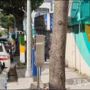 (주)제주스타렌탈 이미지