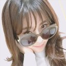 단델리온(Dandelion) 이미지