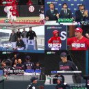 우리동네대장 bnt뉴스
