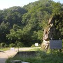 한돈흙돼지 이미지