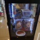 서면펫살롱 이미지