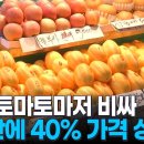 1년 만에 방울토마토 42% 참외 36% 비싸졌다... 챗솟값도... 이미지