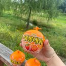 대롱대롱
