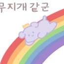 영스포츠웨어 이미지