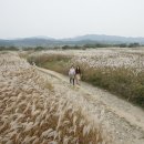 온천강변길2 이미지