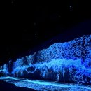 (주)미창 | 부산영도가볼만한곳 아르떼뮤지엄 부산 관람시간 할인 꿀팁과 실내데이트 놀거리