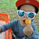 조흥농장 이미지