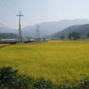 솔바우마을 이미지