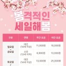 부산 해운대 가볼만한곳 체험 부산요트투어 요트와 가격 및 시간
