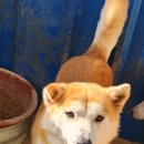 봉촌농장 이미지