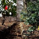 군장마을회관 이미지