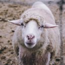 첨단환경 이미지