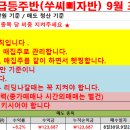 9월3일 급등주반(쑤씨삐자반)성적보고 / 에스와이스틸텍 6% 수익 이미지