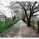 오십천둔치 이미지