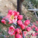 워터펜션 이미지