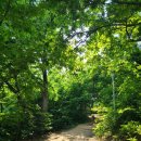 아름도담길 이미지