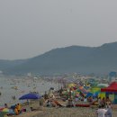 월포가 이미지