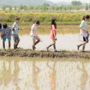 중앙초등학교(병설포함) 이미지