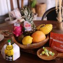 코스타리몬 이미지