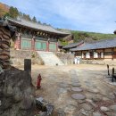 다솔사길 이미지