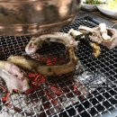 대머리장어 이미지