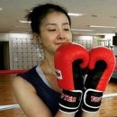 일도복싱 이미지