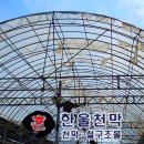 자유천막사 이미지