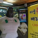 제주도 3박4일 이미지