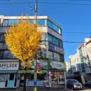 연향번영길 이미지