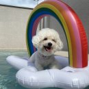 찰리팜하우스 이미지