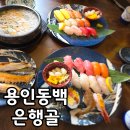 4995 | 은행골 용인 동백지구 맛집 내돈내산 초밥 후기