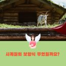 수락산역 맛집 금강산 흑염소 전문점 사계절 보양식 흑염소탕으로 몸보신하자
