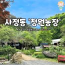 숲속으로 들어가면 펼쳐진다는 비밀의 보문산바베큐 '청원농장' 이미지