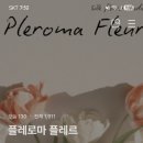 아임플래너 2기 블로그 수익화 강의 후기 ｜시즌 완판과 애드 포스트 승인까지