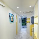 부산고양이미용&호텔 무냥무냥 대연점 이미지