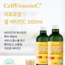 지노셀 이미지