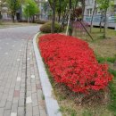 신우건설산업(주) 이미지
