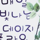 데이지플라워 이미지