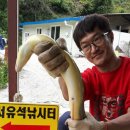 대물장어 이미지