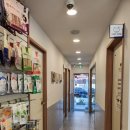 효원동물병원 이미지