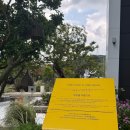 CU명장블루점 | 용인 라임그라스 | 처인구 카페 야외정원 브런치 베이커리 맛집