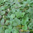 다락골농장 이미지