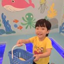 플레이213 키즈카페 이미지