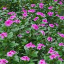 자연의 소리 이미지