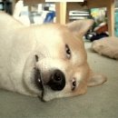 비스타한의원 이미지