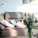 진가농장 이미지