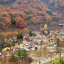 아트인아일랜드야영장 네이버블로그